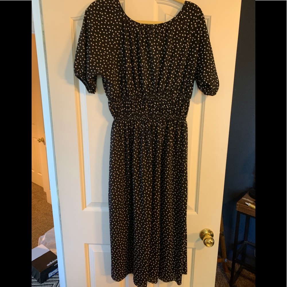 Zara polka dot midi dress